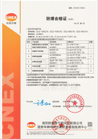 防爆自動真空包裝機(jī)